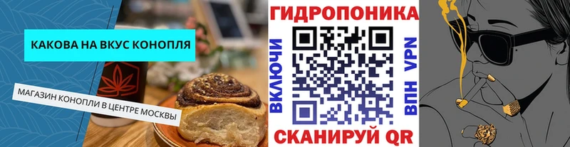 Купить где  Оха  Canna-Cookies конопля 