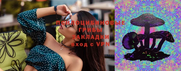 спайс Карпинск